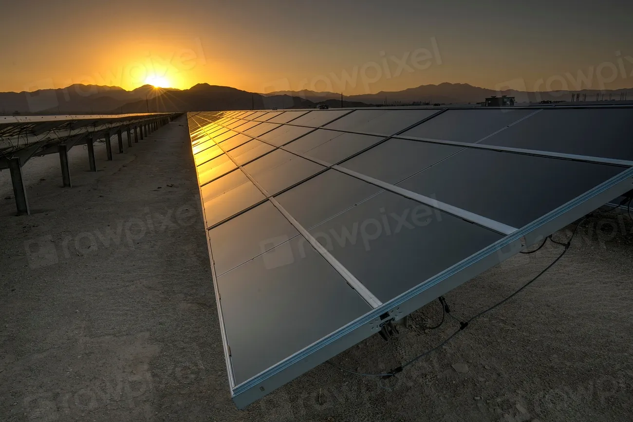 Rows of solar panels in a field at sunset